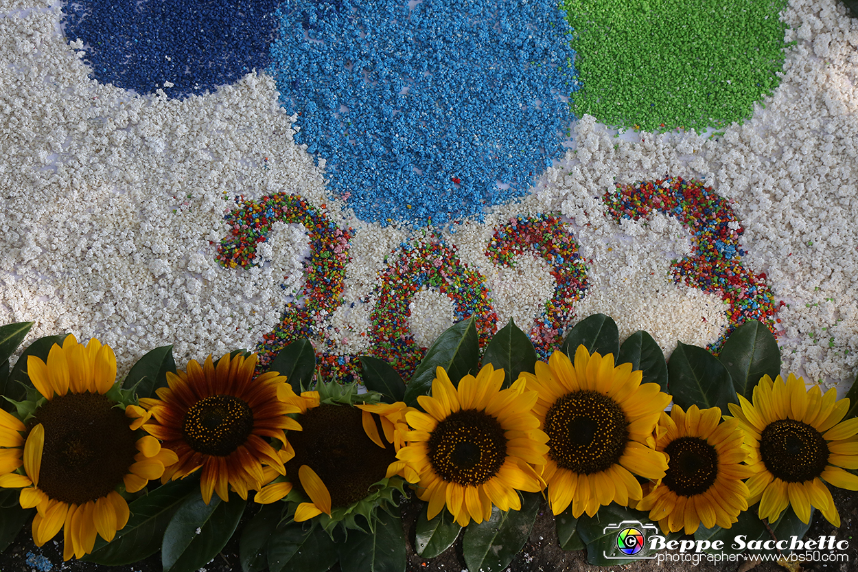VBS_9977 - Infiorata di Villanova d'Asti 2023.jpg